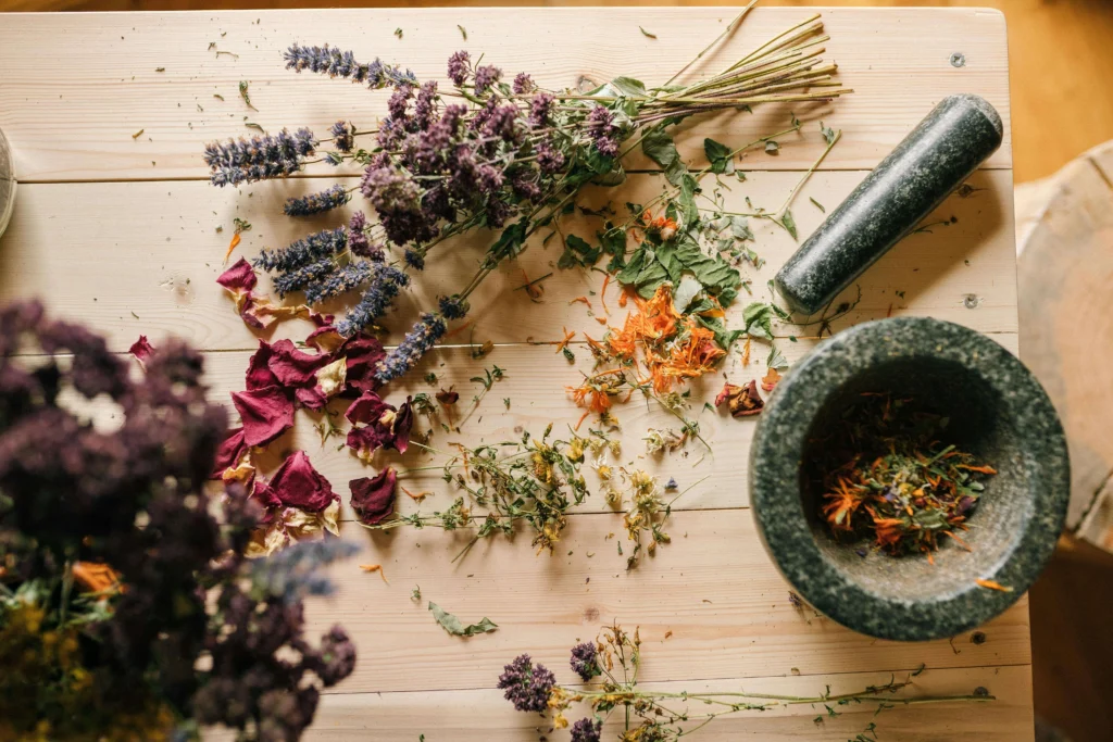 An assortment of fresh and dried herbs, including turmeric, peppermint, and garlic, arranged on a rustic wooden table.